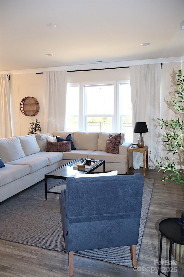 living area with wood finished floors