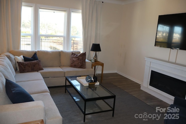 living area featuring a fireplace, baseboards, and wood finished floors