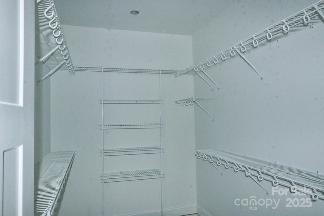 view of spacious closet