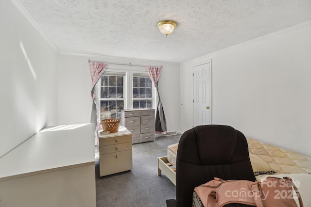 carpeted home office featuring ornamental molding and a textured ceiling