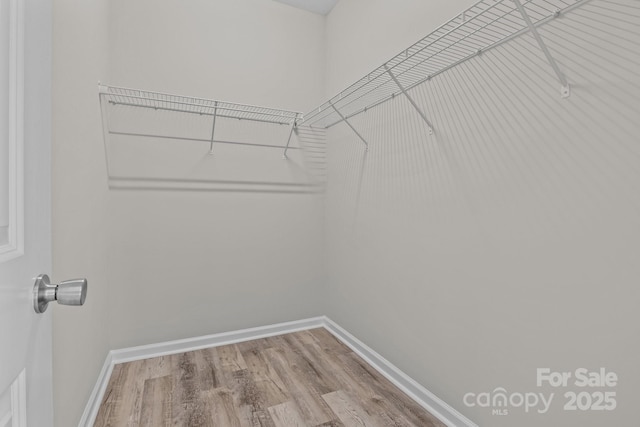 spacious closet featuring hardwood / wood-style flooring