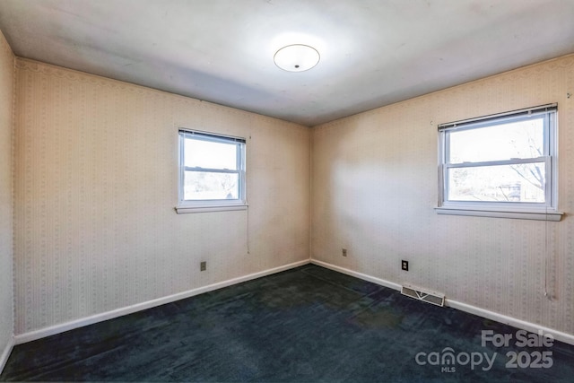 carpeted empty room with a healthy amount of sunlight