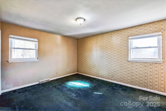 carpeted empty room with a healthy amount of sunlight