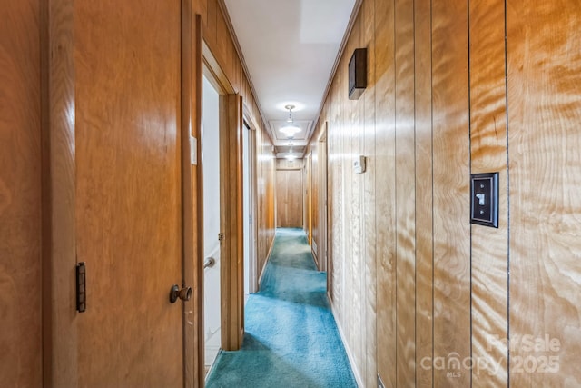 corridor with carpet and wood walls