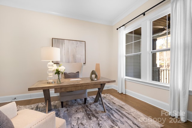 office space with wood-type flooring and ornamental molding