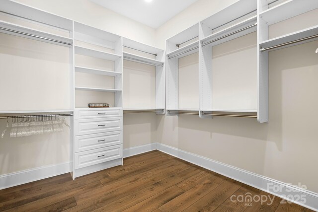 walk in closet with dark hardwood / wood-style floors