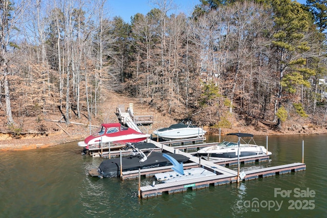 dock area featuring a water view