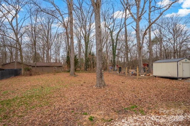 view of yard with a storage unit