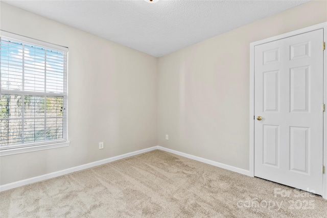 empty room featuring light colored carpet and a textured ceiling