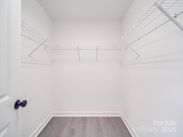 spacious closet featuring wood finished floors