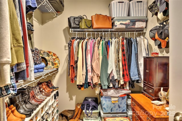 view of walk in closet