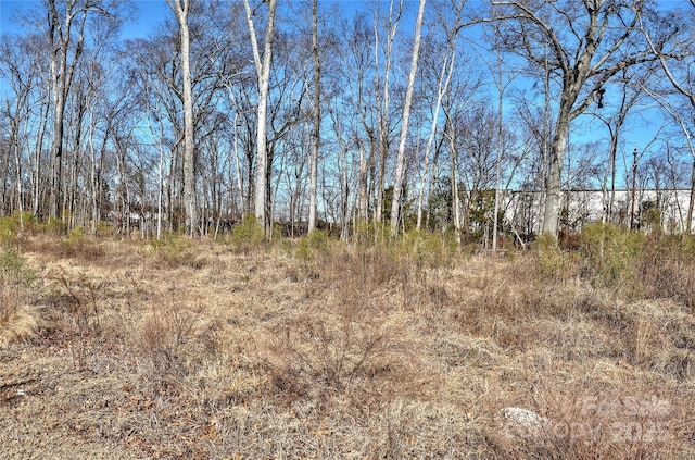 view of local wilderness