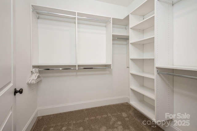 spacious closet featuring dark colored carpet