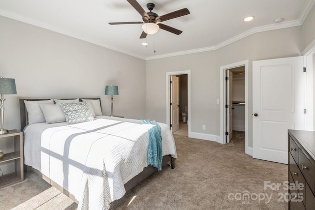 carpeted bedroom with ceiling fan, a walk in closet, a closet, and ornamental molding