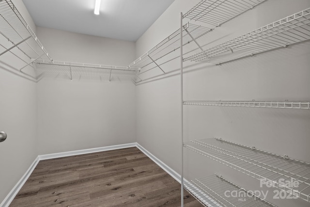 spacious closet featuring dark hardwood / wood-style floors