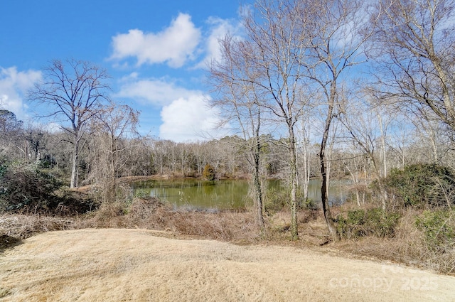 view of landscape featuring a water view