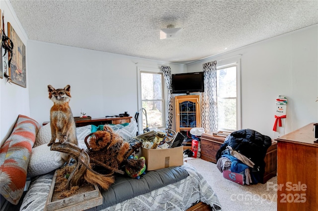 bedroom featuring carpet floors and a textured ceiling