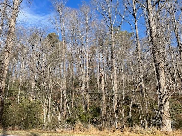 Listing photo 3 for OFF US-70 Hwy W, Old Fort NC 28762