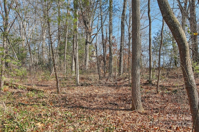 view of local wilderness