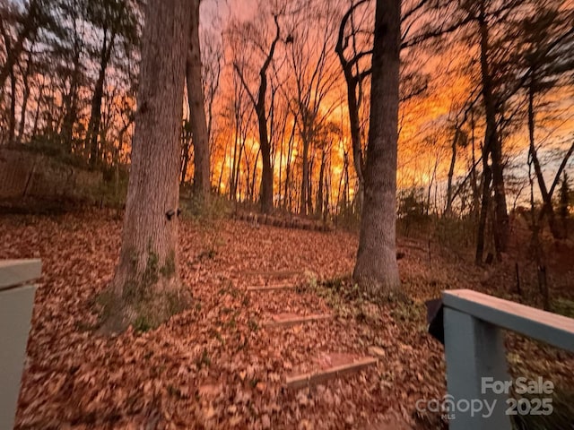 view of nature at dusk