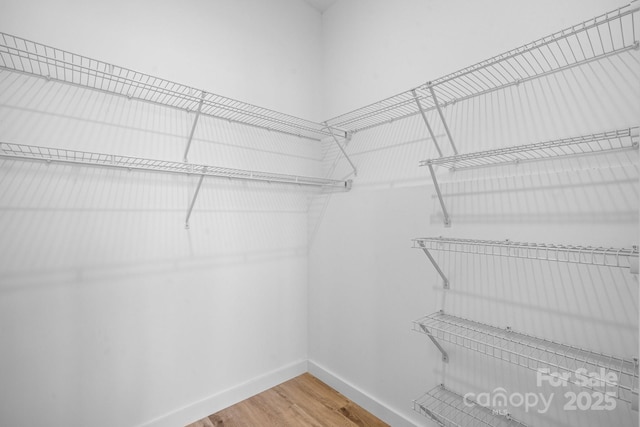 spacious closet featuring hardwood / wood-style flooring