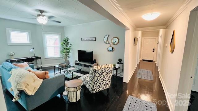 living room featuring ceiling fan, ornamental molding, and dark wood-type flooring