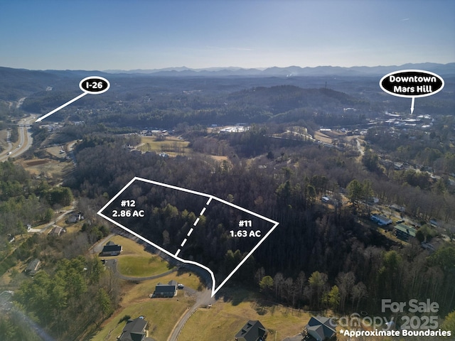 175 Blackberry Cove Dr Unit 11, Mars Hill NC, 28754 land for sale