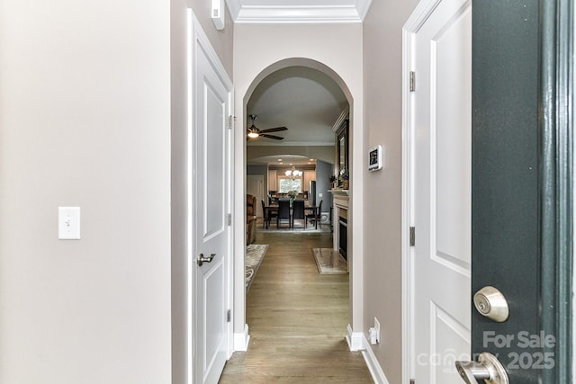 corridor with hardwood / wood-style floors and crown molding