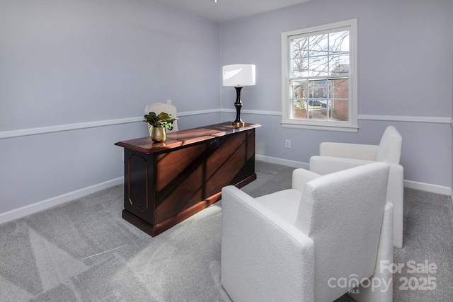 office area featuring carpet floors