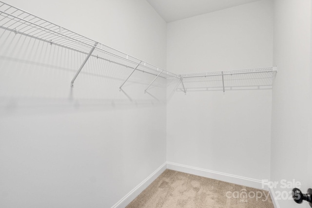 spacious closet with carpet floors