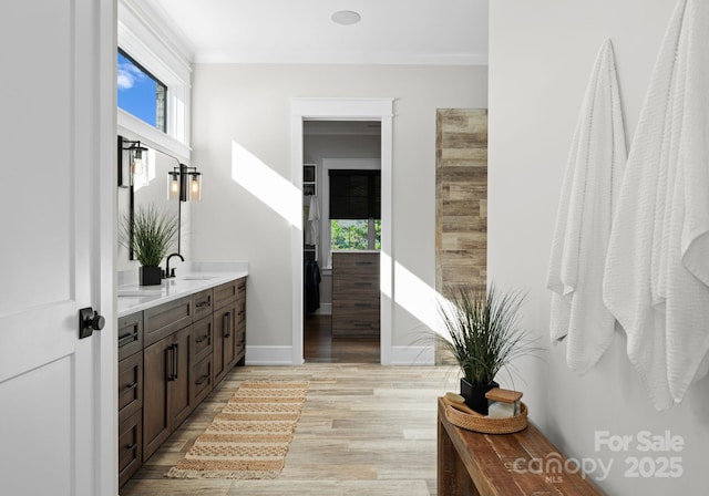 bathroom featuring hardwood / wood-style flooring and vanity