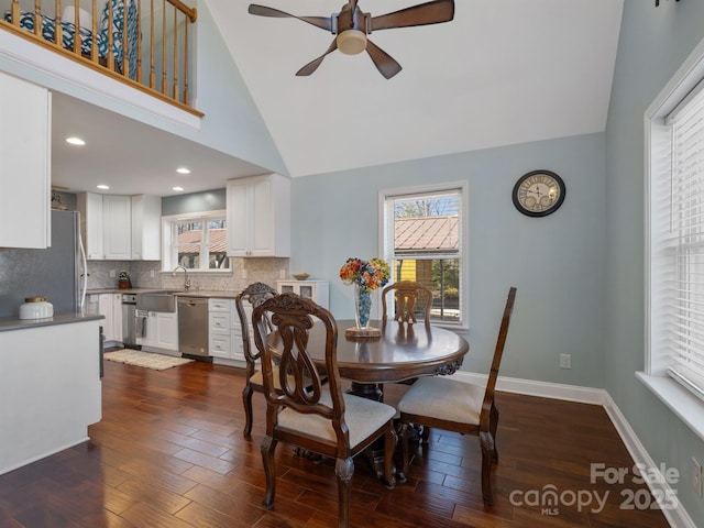 dining room featuring dark wood-type flooring, a wealth of natural light, and baseboards