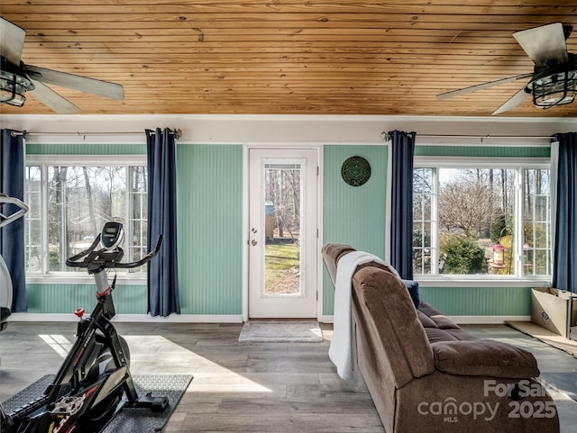 exercise area with wood-type flooring, a wealth of natural light, wood ceiling, and ceiling fan