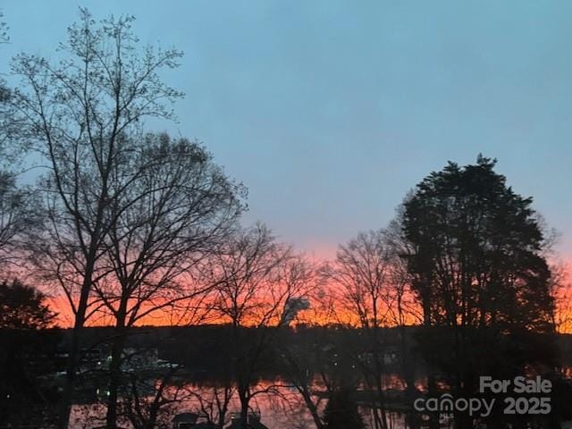 view of nature at dusk