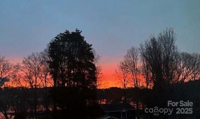 view of nature at dusk