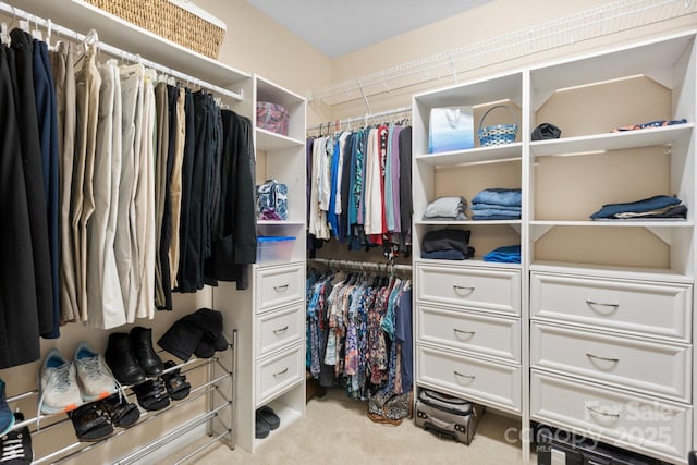 walk in closet with light carpet