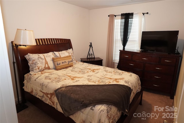 bedroom with carpet floors