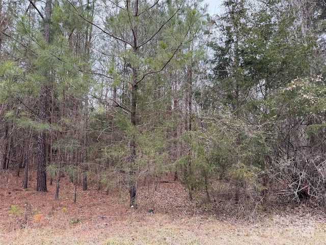 LOT54 Joe Louis Blvd, Rock Hill SC, 29730 land for sale