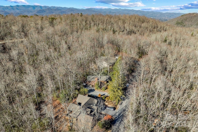 birds eye view of property featuring a mountain view