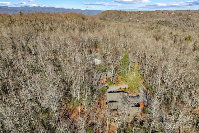 bird's eye view featuring a mountain view