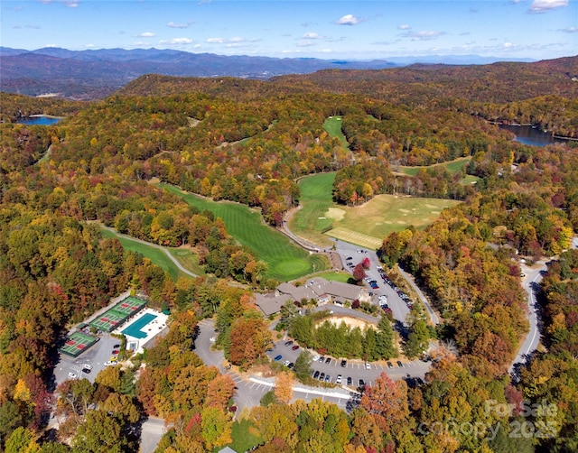 44 Yanequa Way, Brevard, NC 28712 - aerial view of property's location featuring a water and mountain view