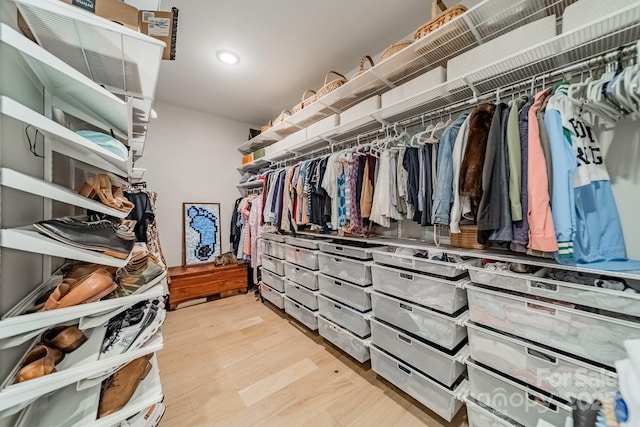 spacious closet featuring hardwood / wood-style floors