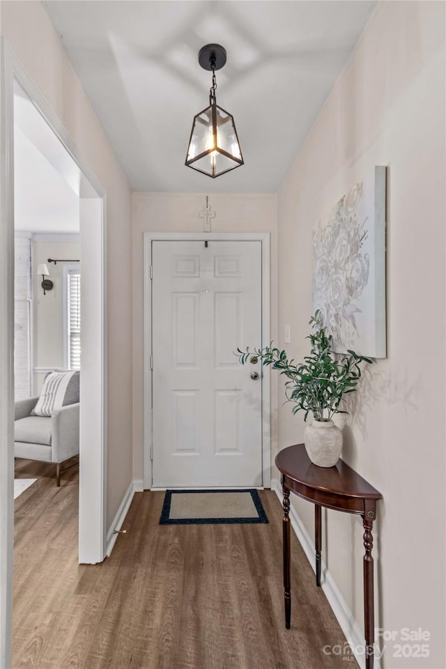 entryway featuring hardwood / wood-style flooring