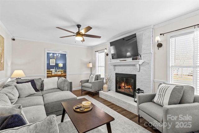 living room with a fireplace, dark hardwood / wood-style floors, ceiling fan with notable chandelier, and ornamental molding