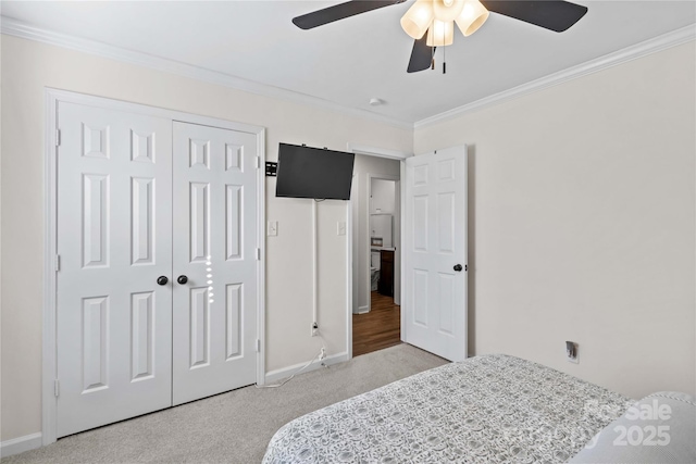 carpeted bedroom with ceiling fan, a closet, and ornamental molding