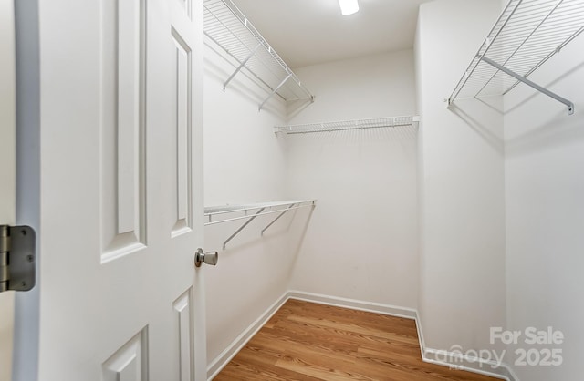 spacious closet featuring hardwood / wood-style floors