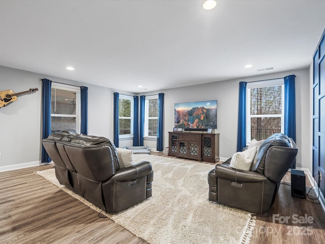 living room featuring wood-type flooring