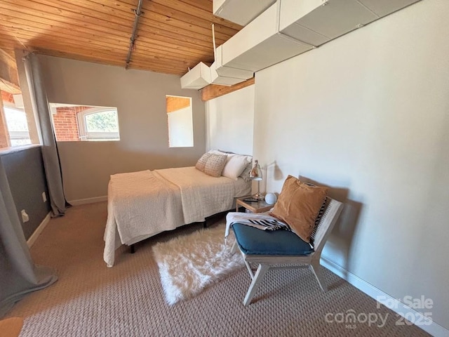 201 S Hoskins Rd Unit 136, Charlotte, NC 28208 - carpeted bedroom with wood ceiling and baseboards