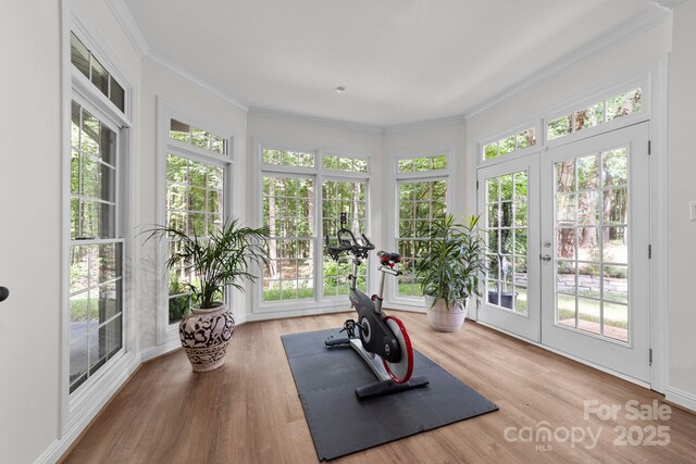 workout room featuring crown molding, french doors, and wood-type flooring