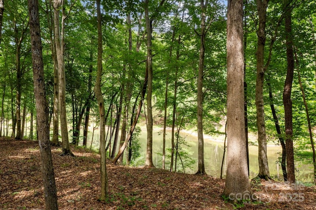 view of local wilderness